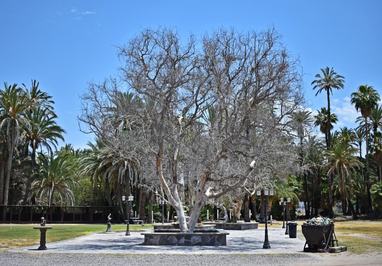 La Huerta Hotel San Ignacio  Kültér fotó